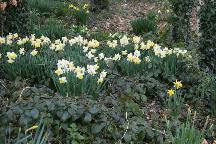Location de vacances pour 6 personnes, avec jardin et vue, animaux acceptés dans Valdallière - 4