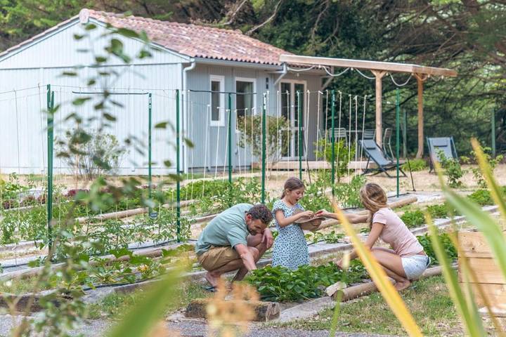 Camping pour 4 personnes, avec piscine et jardin, animaux acceptés à Saint-Martin-de-Ré - 3