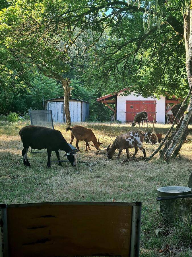 Location de vacances pour 6 personnes, avec jardin et vue à Brocas - 2