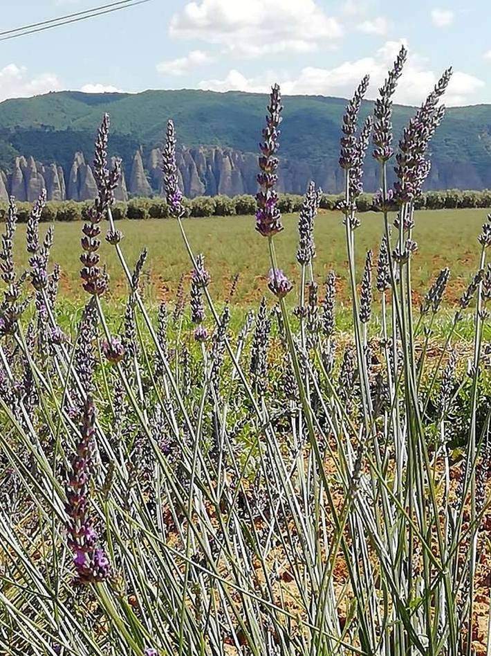 Location de vacances pour 2 personnes, avec jardin ainsi que piscine et vue à Montfort - 3