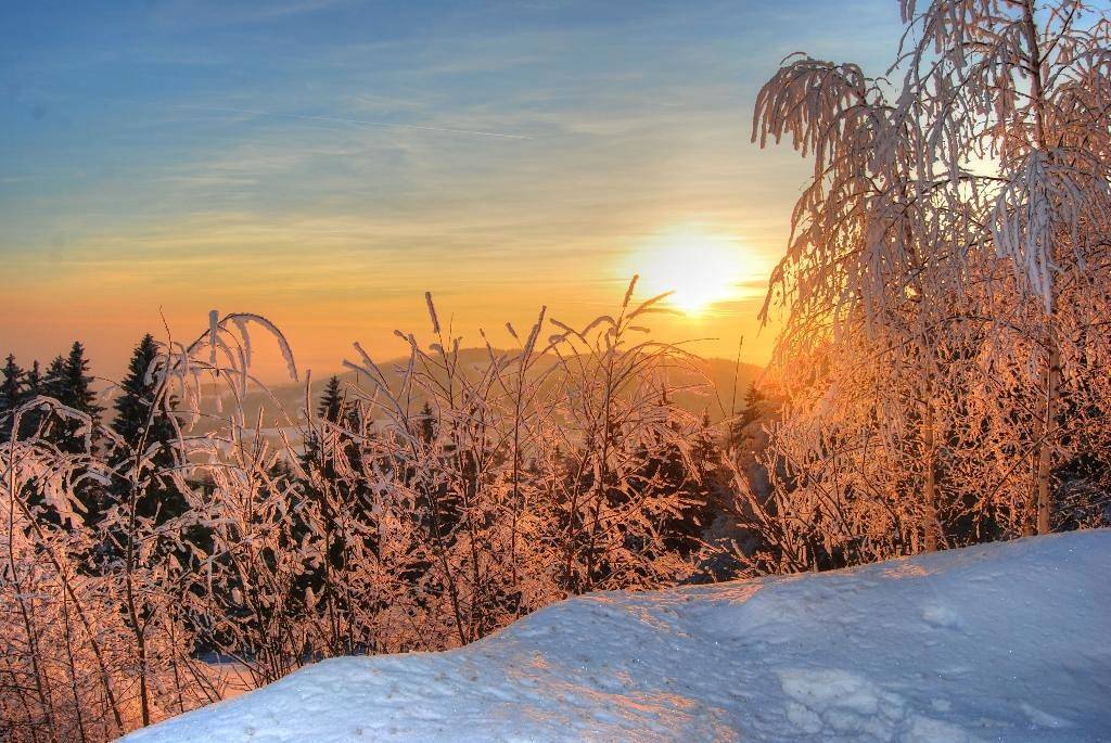 Freizeit- und Erlebnishof Schötz - Typ I, 45qm in Haibach (Bayerischer Wald), Ostbayern