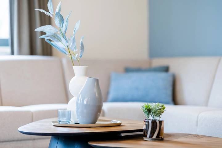 Ferienhaus für 6 Personen, mit Balkon/Terrasse und Terrasse sowie Sauna in Burgh-Haamstede - 4