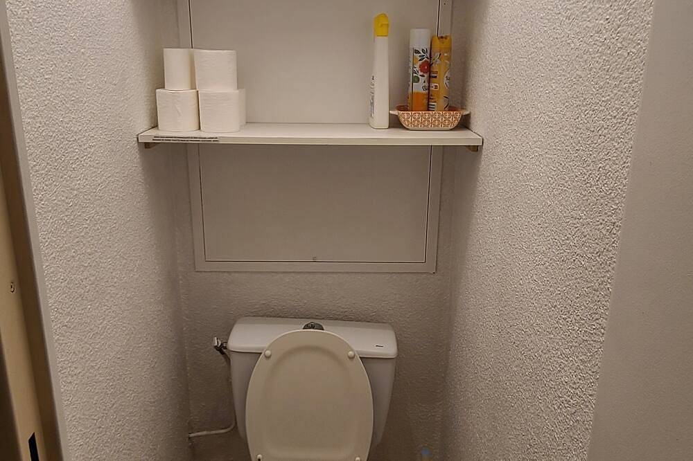 Appartement entier, Studio 4/5pers, terrasse, jardinet, vue imprenable sur la Muselle.50m des pistes in Vénosc, Les Deux Alpes