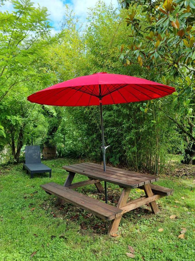 Location de vacances pour 12 personnes, avec vue ainsi que jardin et piscine, animaux acceptés à Tournon-d'Agenais - 4