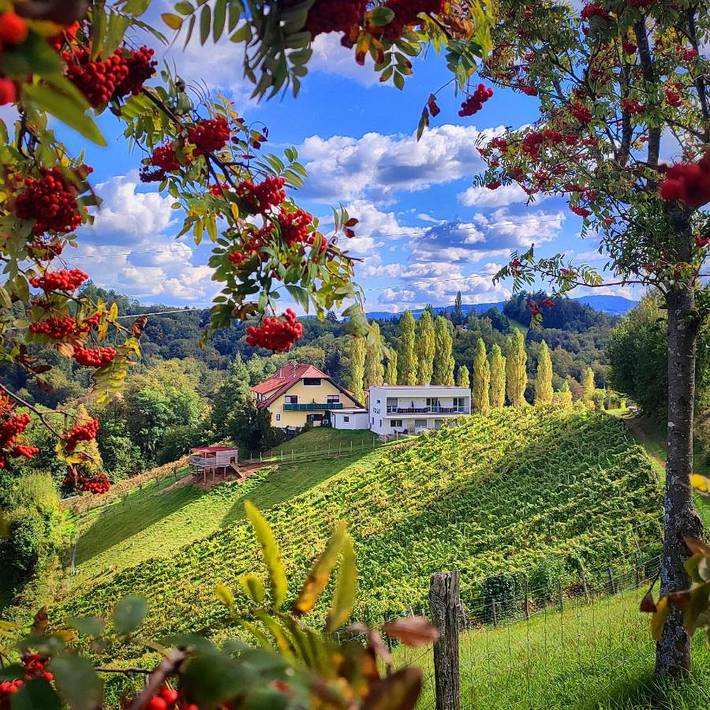 Ferienhaus für 2 Personen, mit Ausblick und Garten