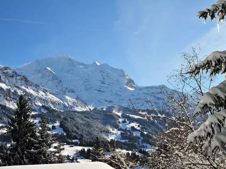 Ganze Wohnung, 2 Pièces 3 Personnes in Wengen, Lauterbrunnen