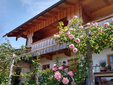 Ferienwohnung für 5 Personen in Wurmansau, Saulgrub, Bild 1