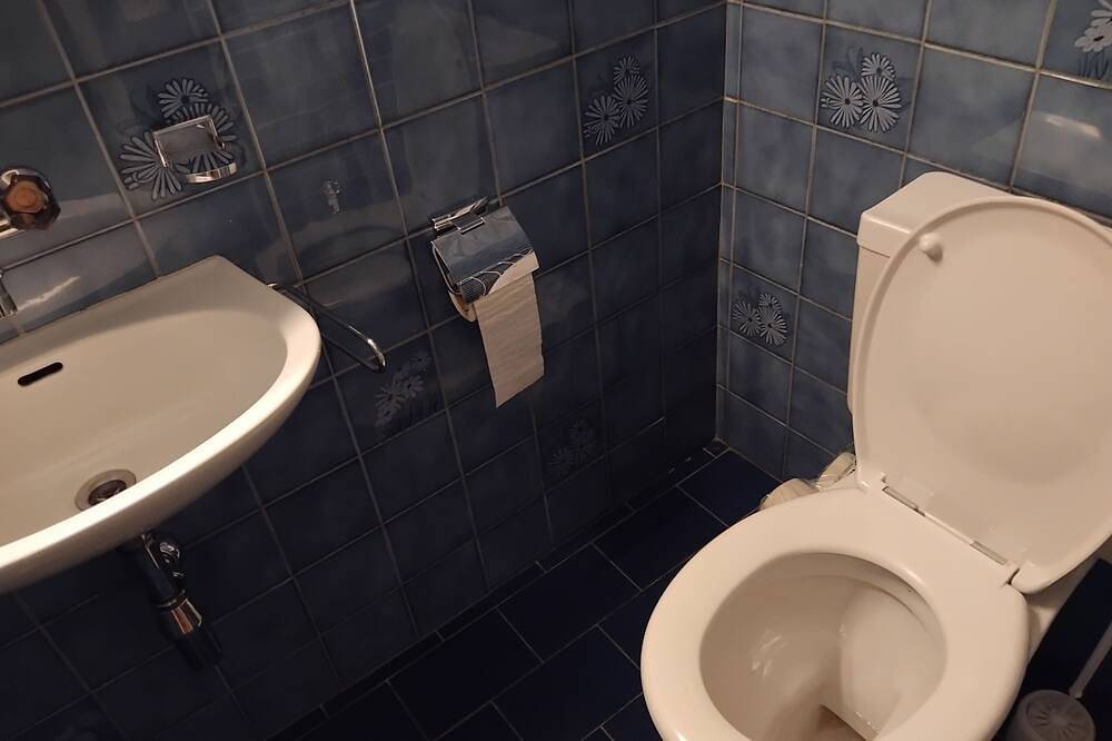 Appartamento intero, Large room, 2 beds, sleeps up to 4 guests Spacious room, 2 beds, up to 4 guests in Carouge, Lago Lemano