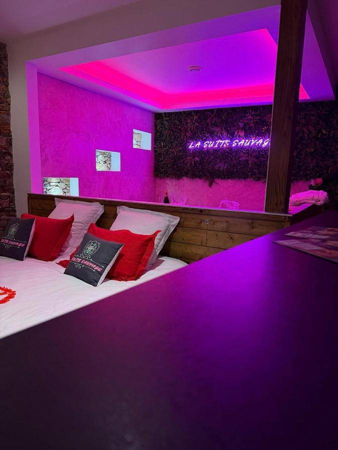 Gîte pour 2 personnes, avec jacuzzi à Port-Saint-Père - 4