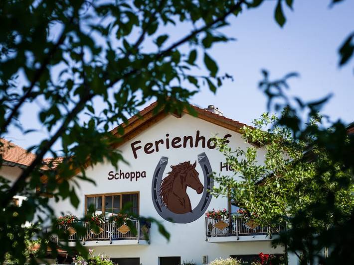 Ferienwohnung für 6 Personen, mit Balkon und Balkon/Terrasse sowie Terrasse und Garten in Sonnen