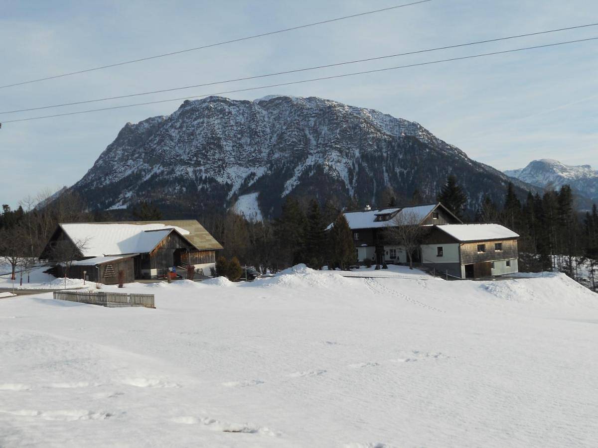Ganze Wohnung, Ferienwohnung am Bauernhof Koa in Bad Goisern, Dachstein Salzkammergut