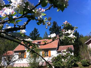 Gîte pour 8 personnes, avec jardin à La Vancelle