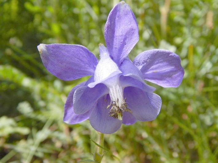 Casa rural para 7 personas, con jardín y vistas en Parque nacional de Ordesa y Monte Perdido - 2