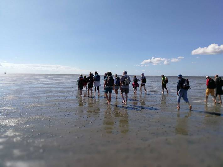 Ferienwohnung für 4 Personen, mit Terrasse und Garten in Mildstedt - 3