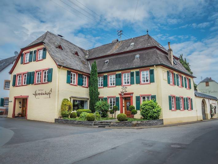 Zimmer für 2 Personen, mit Terrasse - 1