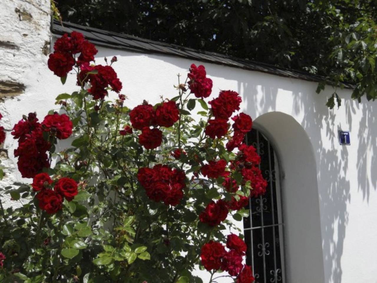 Weyerhof2 in Kobern-Gondorf, Osteifel