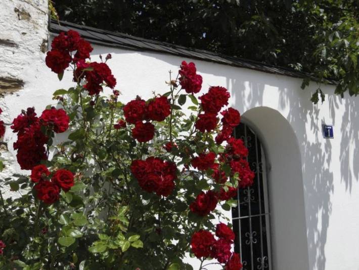 Ferienhaus für 2 Personen, mit Terrasse und Garten in Kobern-Gondorf