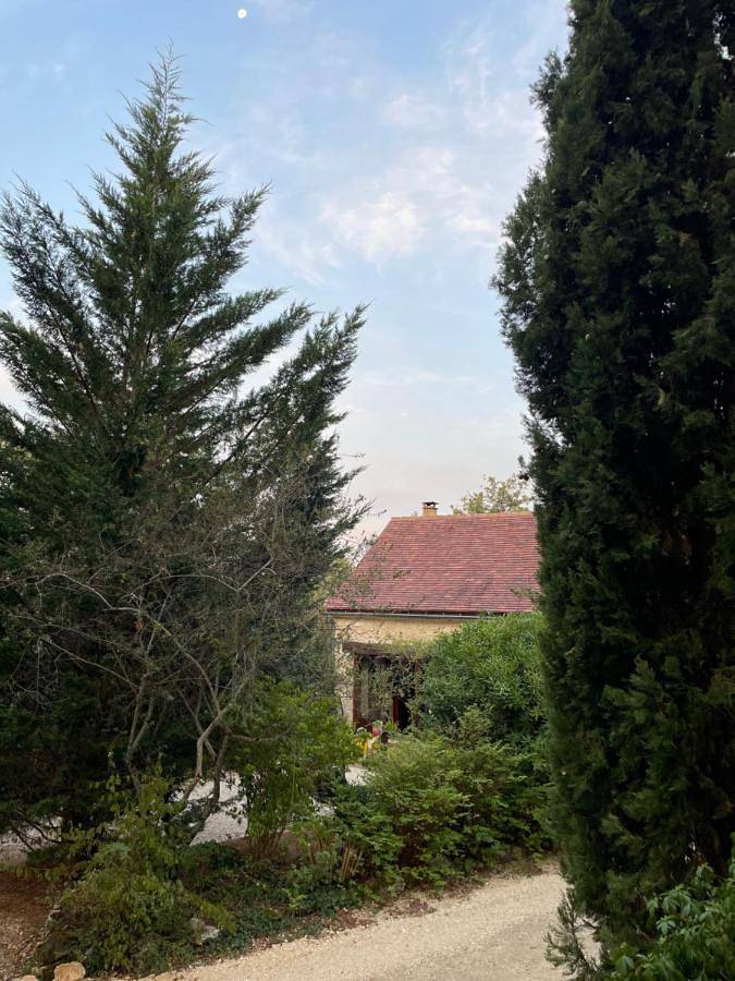 Gîte pour 2 personnes, avec piscine ainsi que jardin et vue, animaux acceptés à Saint-Chamarand - 4