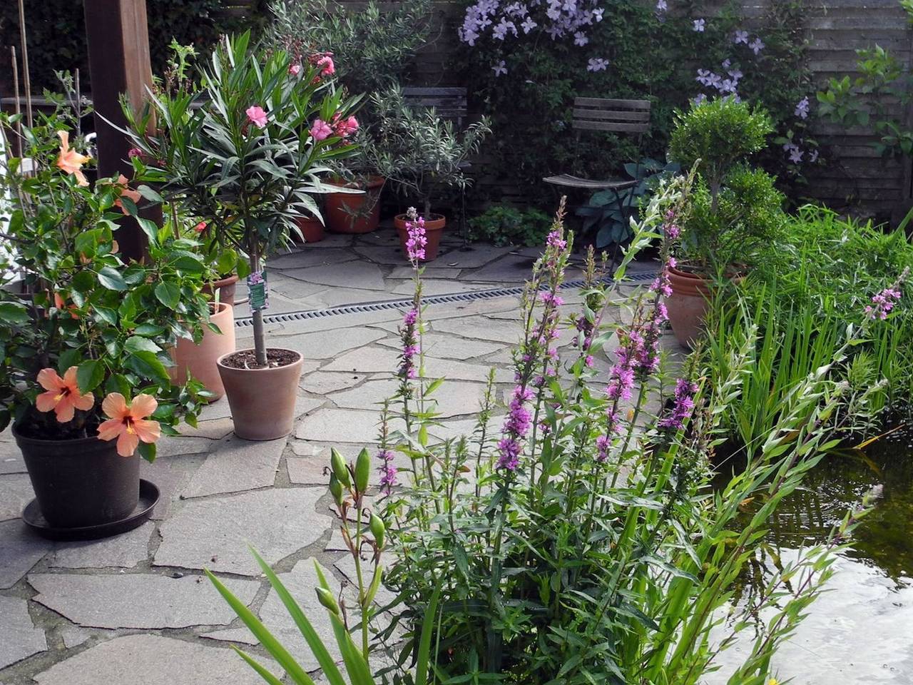 Ganze Ferienwohnung, Ferienwohnung Wroko - Ferienwohnung, 2 Zimmer, mit Terrasse, max. 3 Personen in Wehrheim, Hochtaunuskreis