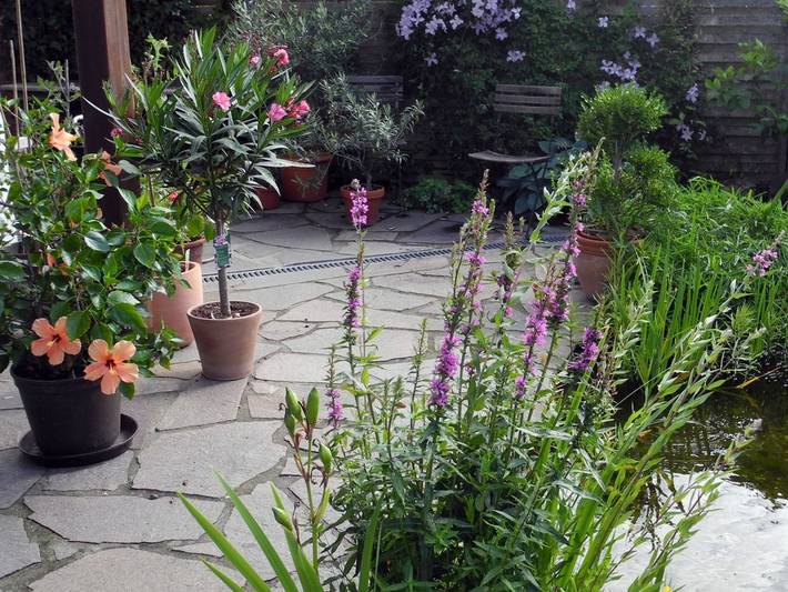 Ganze Wohnung, Ferienwohnung WroKo - Ferienwohnung, 2 Zimmer, mit Terrasse, max. 3 Personen in Wehrheim, Hochtaunuskreis
