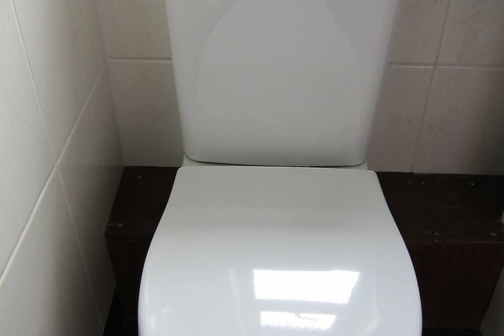 Cedarcroft Cottage Reeth, in zwei Hektar Garten, Fluss, Teiche, tolle Aussicht in Reeth, Yorkshire Dales National Park