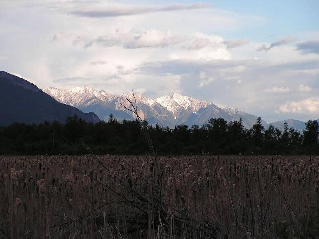 Ganze Wohnung, Affordable Luxury Condo in Radium Hot Springs in Radium Hot Springs, Kootenay-Nationalpark