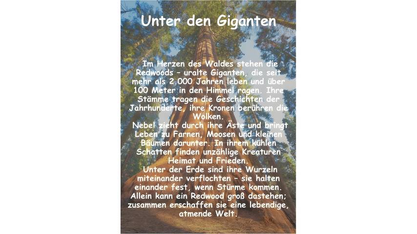 Ferienwohnung für 2 Personen, mit Garten, mit Haustier in Brenner - 4