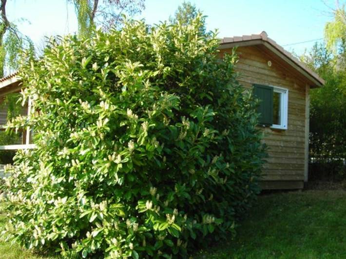 Gîte pour 5 personnes, avec terrasse et piscine, animaux acceptés à Darbres - 3