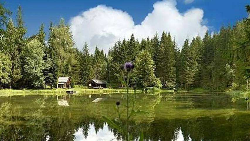Bauernhof für 5 Personen, mit Garten und Sauna sowie Balkon im Lungau - 3