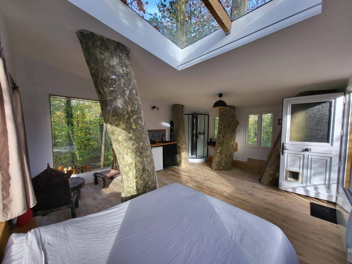 La maison dans l'arbre in Escolives-Sainte-Camille, Région d'Auxerre
