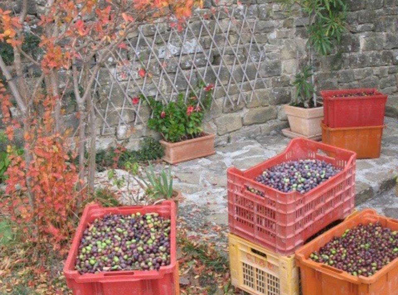 Villa Bella - Two Bedroom House in Grožnjan, Općina Grožnjan