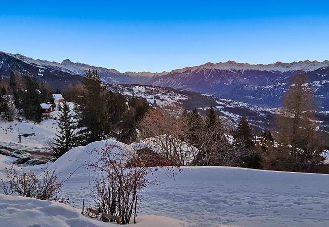 Tiny House facing the Alps - Ski in and out in Ayent, Sion - Sierre & Umgebung