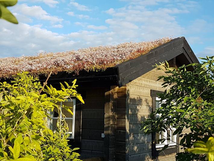 Bungalow für 2 Personen, mit Garten in Südschweden - 3