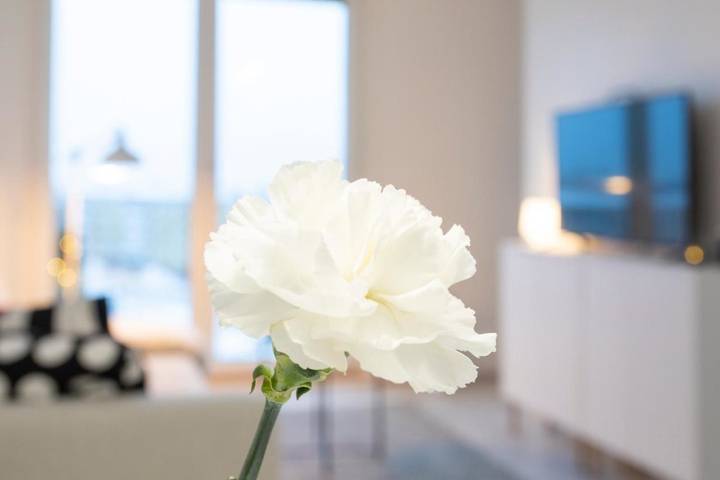 Appartement de vacances pour 4 personnes, avec vue et balcon - 1