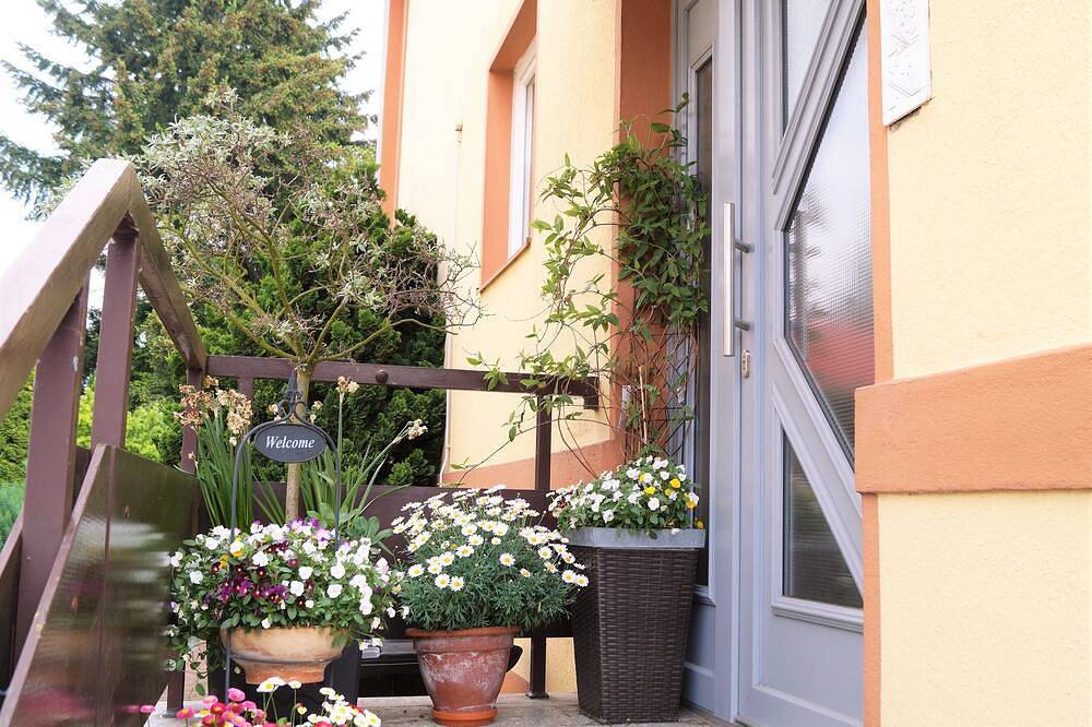Ganze Wohnung, Helle, freundliche 2-Zimmerwohnung in Stadtnähe in Celle, Aller-Leine-Tal