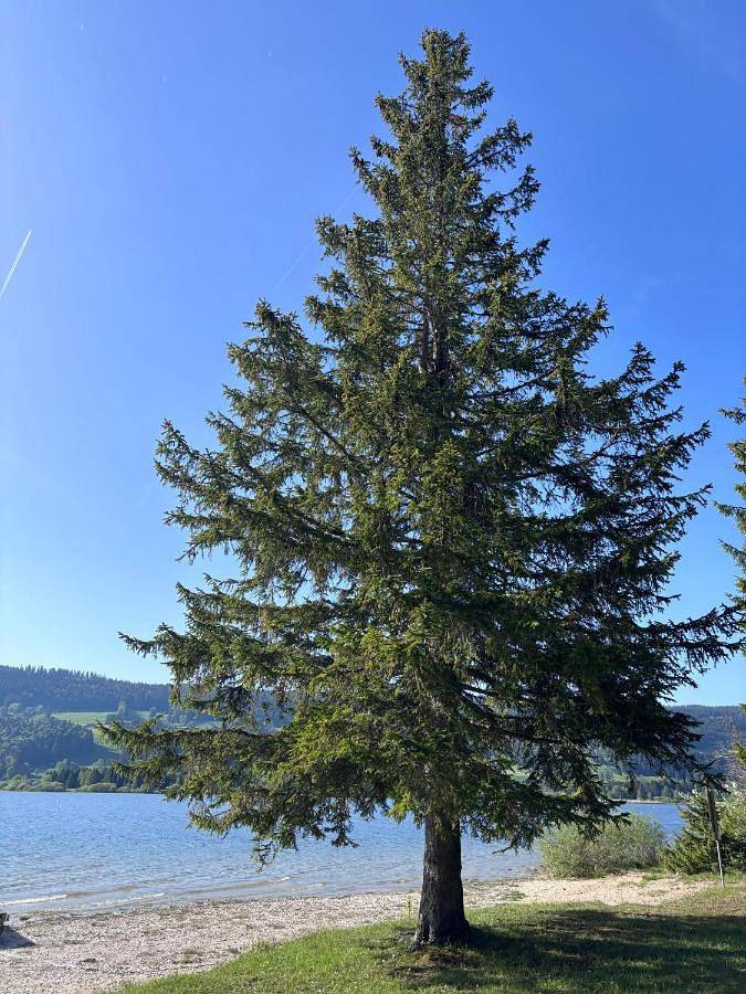 Chambre d’hôte pour 2 personnes, avec vue sur le lac et vue ainsi que terrasse et jardin dans Canton de Vaud - 3