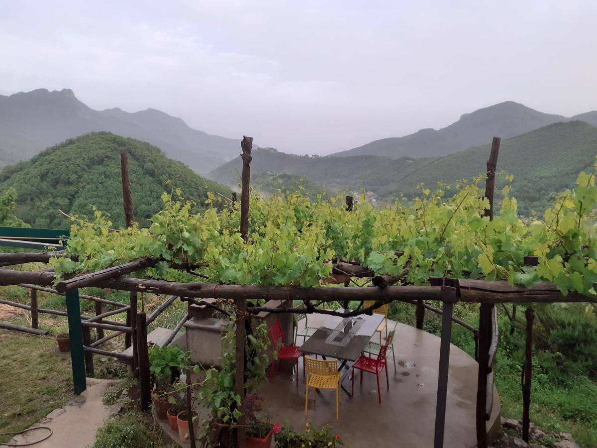 La Casa in Vigna in Tramonti, Monti Lattari