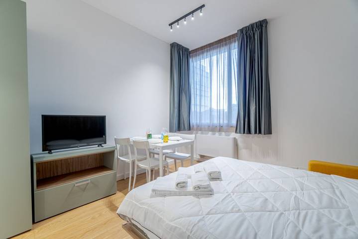 Appartamento intero, GuestHost - San Salvario & Porta Nuova Functional Studio x2 in Torino, Provincia di Torino
