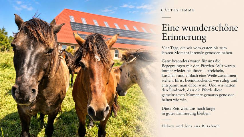 Ferienwohnung für 2 Personen, mit Terrasse und Garten sowie Ausblick in Ostbense - 2