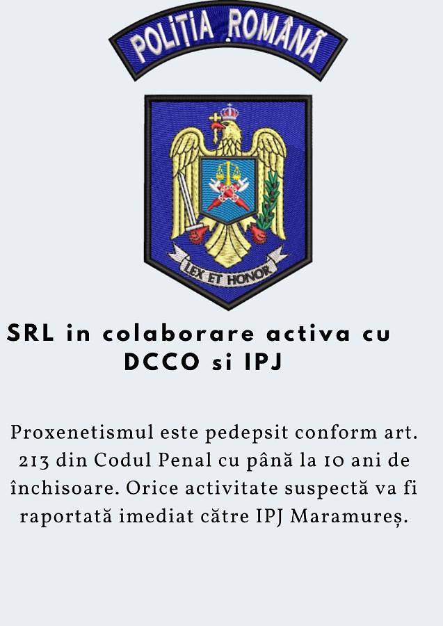 Gîte pour 2 personnes, animaux acceptés dans Baia Mare - 4