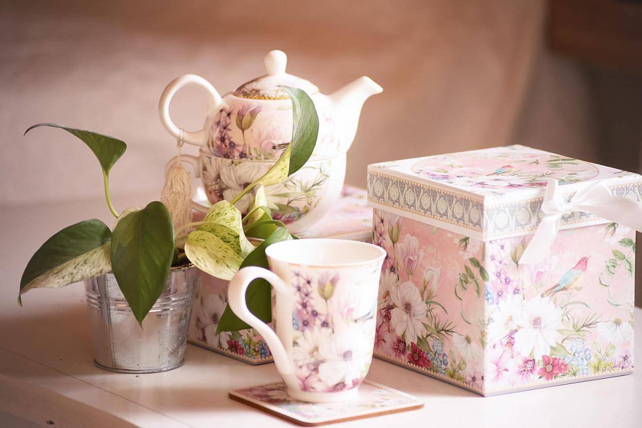 Domaine de l'île - Gîtes et chambres d'hôtes in Castelsarrasin, Tarn-et-Garonne