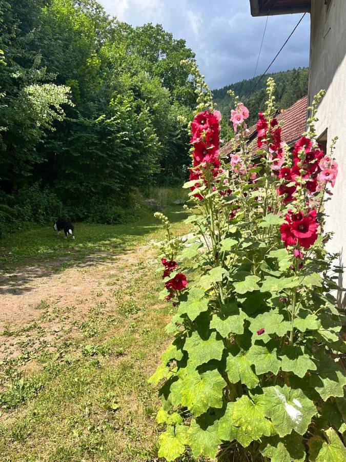 Appartement entier, La Demeure des Forges in Grandfontaine (Bas-Rhin), Bas-Rhin Alsace