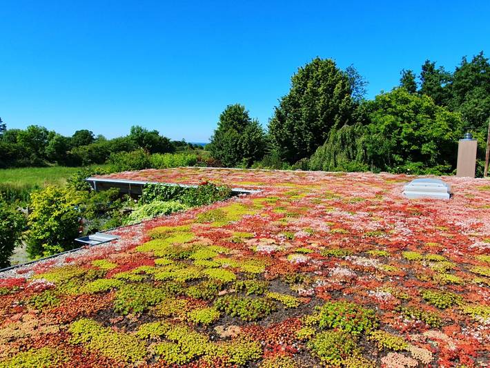 Ferienwohnung für 5 Personen, mit Garten und Ausblick in Niesgrau - 2
