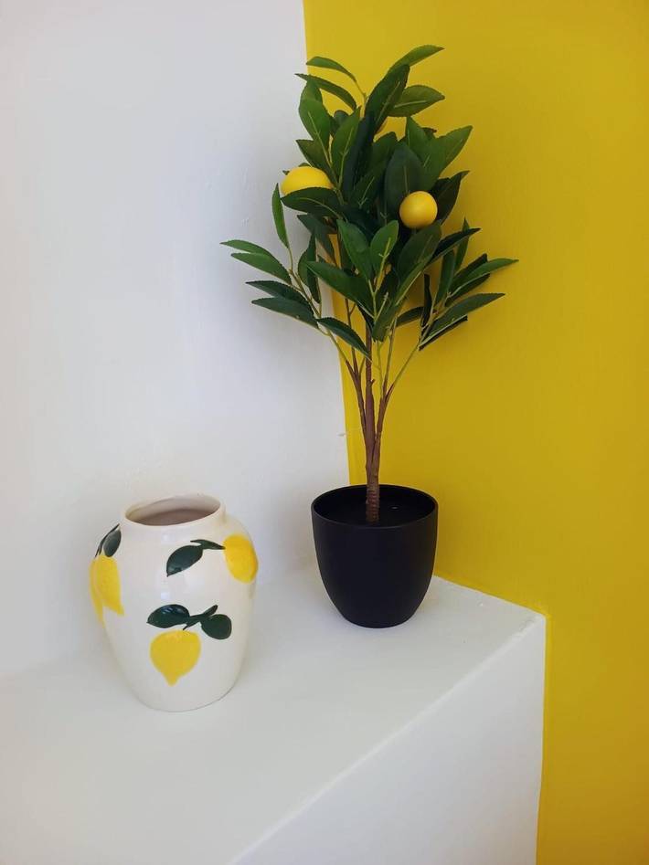 Room 'Lemon' with Shared Pool, Wi-Fi and Air Conditioning in Lorca, Murcia Inland
