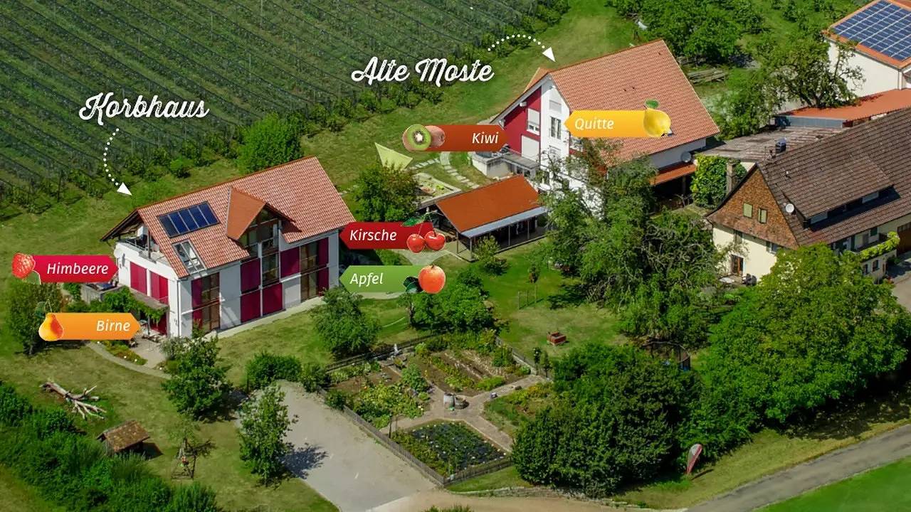 Ganze Ferienwohnung, Ferienwohnung für 3 Personen (55 m²) in Überlingen in Überlingen, Region Bodensee-Oberschwaben