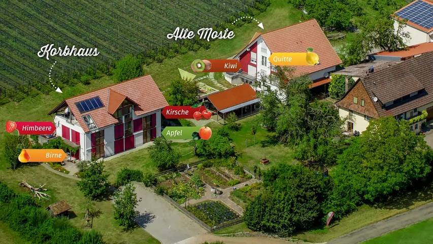 Ganze Ferienwohnung, Ferienwohnung für 3 Personen (55 m²) in Überlingen in Überlingen, Region Bodensee-Oberschwaben