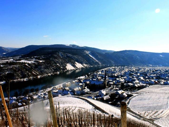 Maison d’hôte pour 3 personnes, avec jardin et vue à Kröv - 4