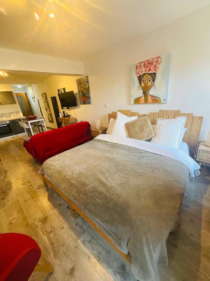 Appartement entier, Hôte Labyrinthe sur la place chambres d, hôtes , calme ,Netflix in Mirepoix, Ariège