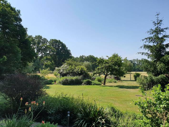 Ferienwohnung für 4 Personen, mit Terrasse und Garten in Burg (Spreewald) - 2