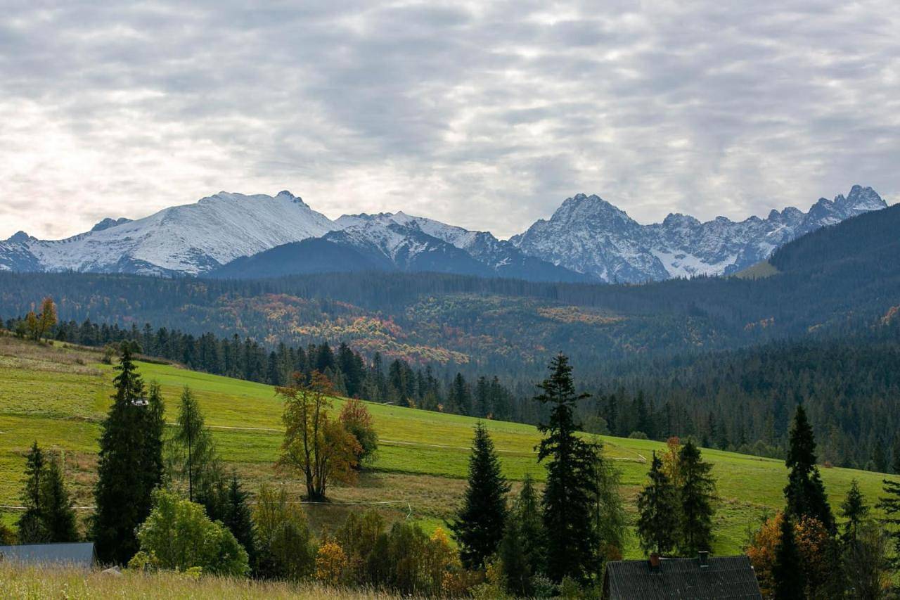 Górski Domek Delux in Małe Ciche, Karpaty (Polska)